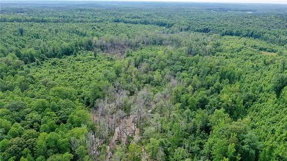 19.39 Acres of Land for Sale in Waverly, Alabama