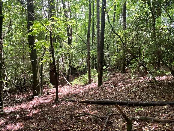 1.1 Acres of Land for Sale in Lake Toxaway, North Carolina