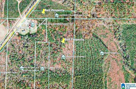 18.6 Acres of Land for Sale in Alpine, Alabama