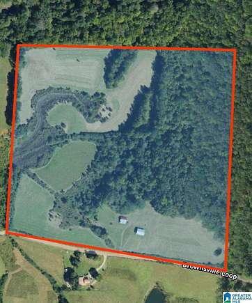 39.5 Acres of Agricultural Land for Sale in Goodwater, Alabama