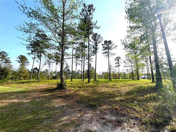0.6 Acres of Residential Land for Sale in Brunswick, Georgia