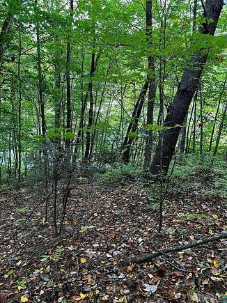 1 Acre of Land for Sale in Tuckasegee, North Carolina