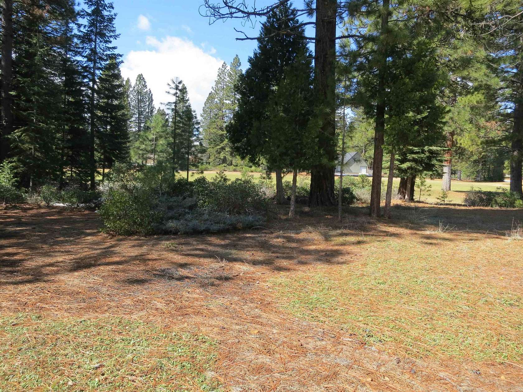 0.32 Acres of Residential Land for Sale in Lake Almanor Peninsula, California