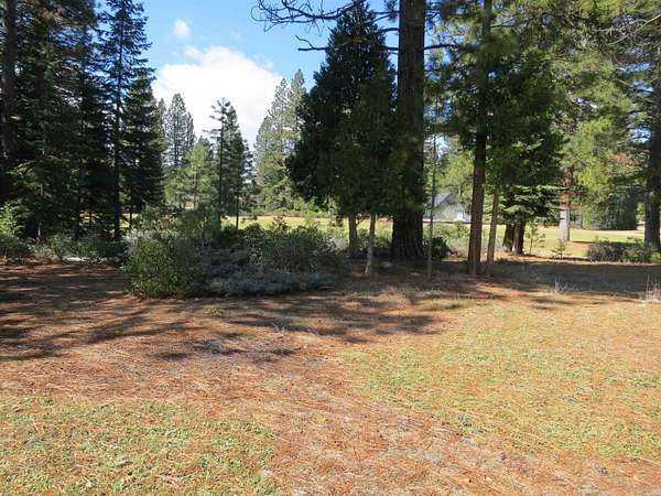 0.32 Acres of Residential Land for Sale in Lake Almanor Peninsula, California