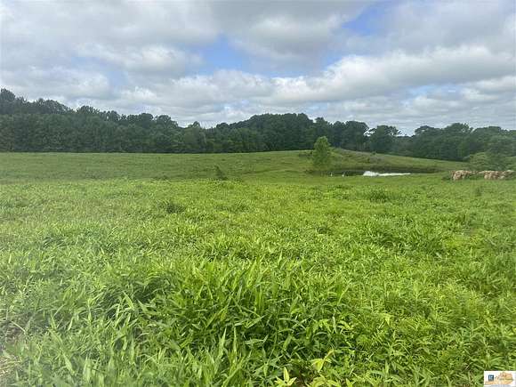 38.9 Acres of Recreational Land for Sale in Tompkinsville, Kentucky