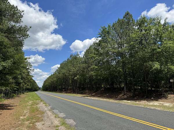 53.3 Acres of Recreational Land for Sale in Aiken, South Carolina
