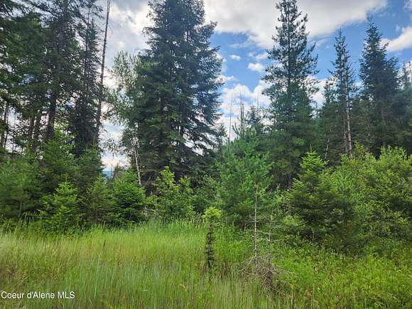 16.7 Acres of Recreational Land for Sale in Wallace, Idaho