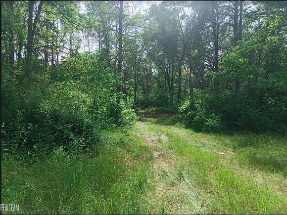 5 Acres of Residential Land for Sale in Baldwin, Michigan