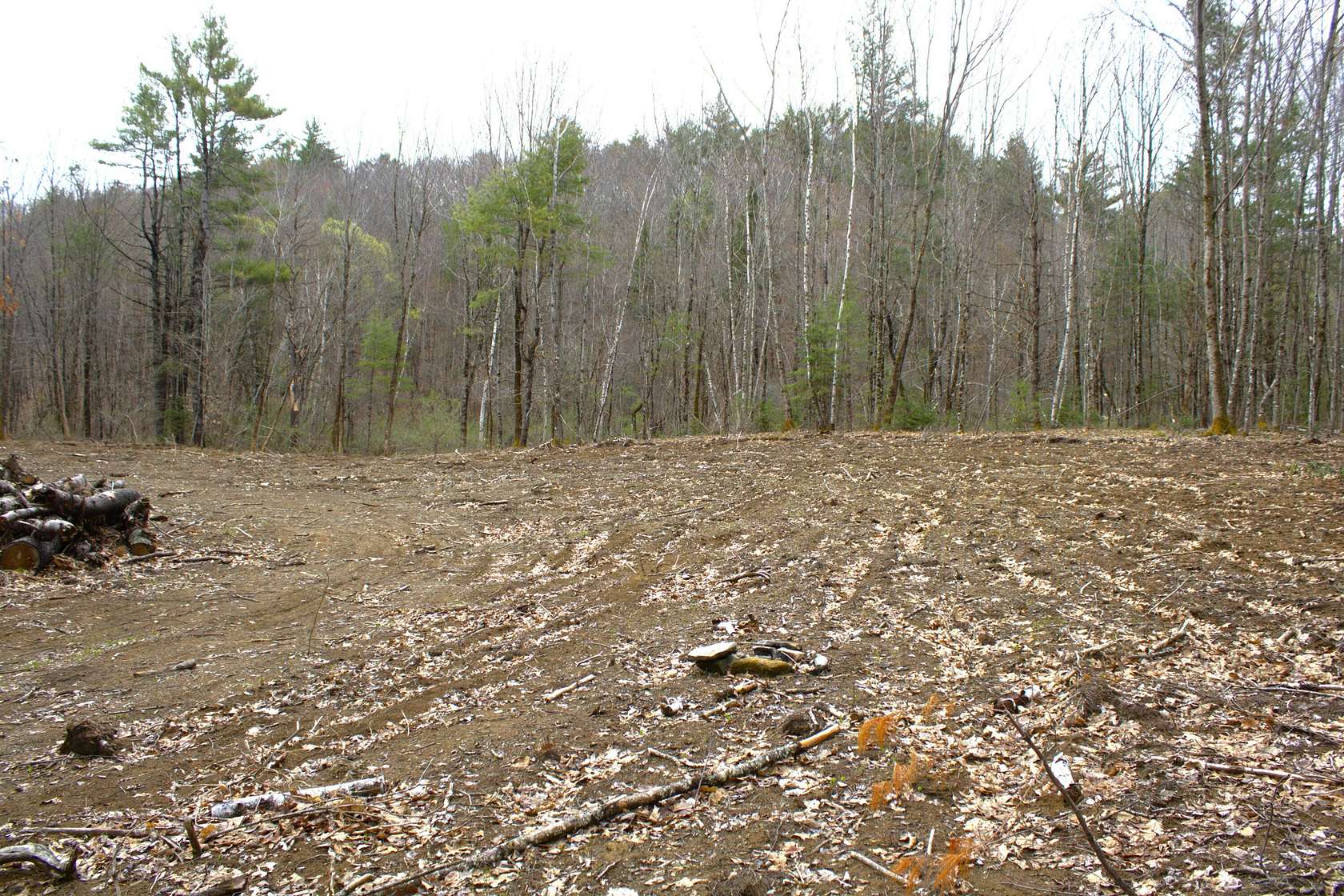11.5 Acres of Land for Sale in Anson, Maine