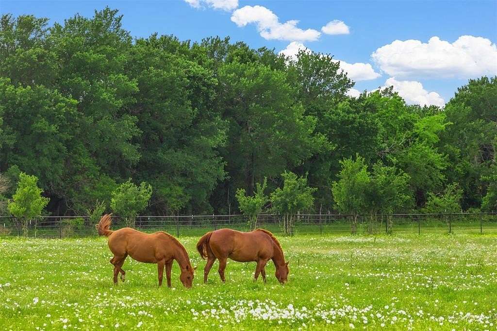 47 Acres of Land with Home for Sale in Blue Ridge, Texas