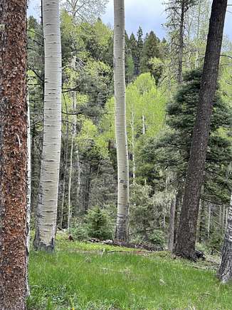 1 Acre of Residential Land for Sale in Angel Fire, New Mexico
