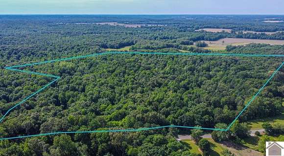 110 Acres of Land for Sale in Puryear, Tennessee
