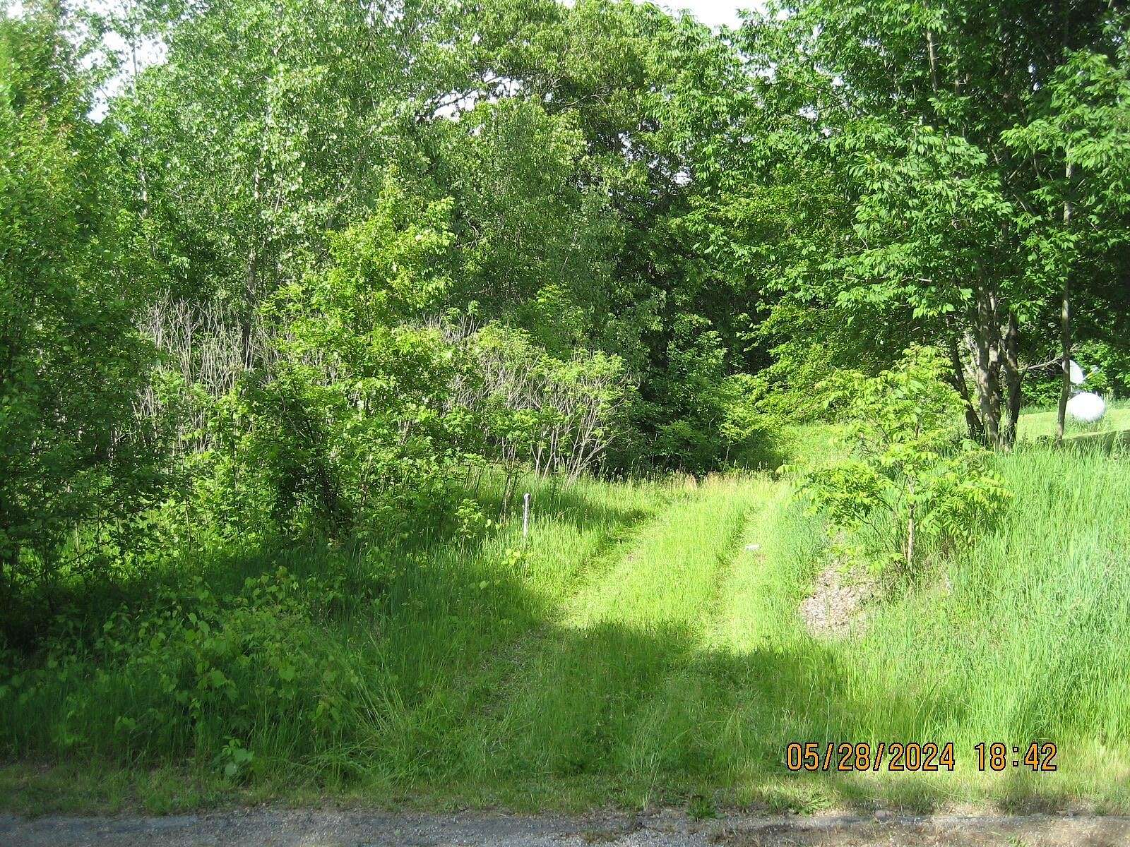 0.33 Acres of Residential Land for Sale in Delton, Michigan