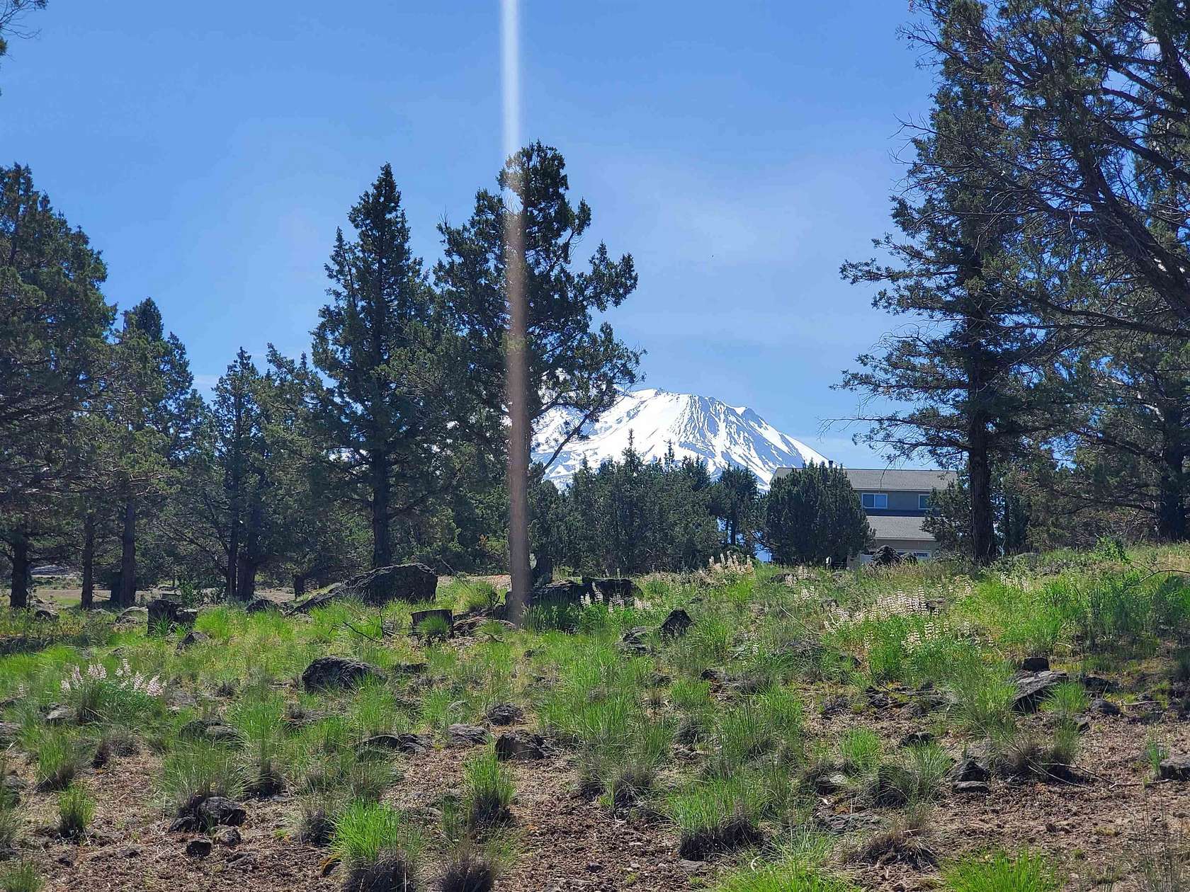 0.27 Acres of Residential Land for Sale in Weed, California