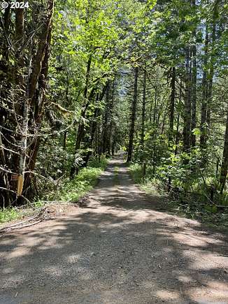 6.9 Acres of Land for Sale in Lorane, Oregon