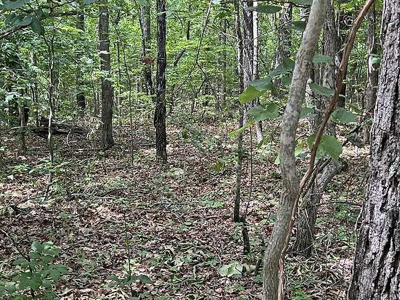 0.37 Acres of Residential Land for Sale in Cherokee Village, Arkansas