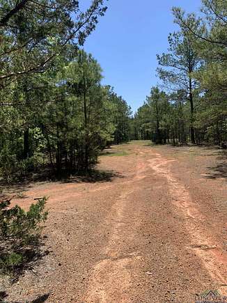 58 Acres of Recreational Land for Sale in Gilmer, Texas