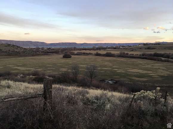76.5 Acres of Land for Sale in St. Charles, Idaho