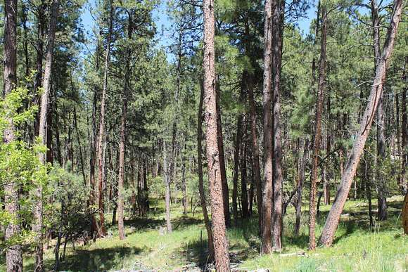 5.5 Acres of Residential Land for Sale in Hulett, Wyoming
