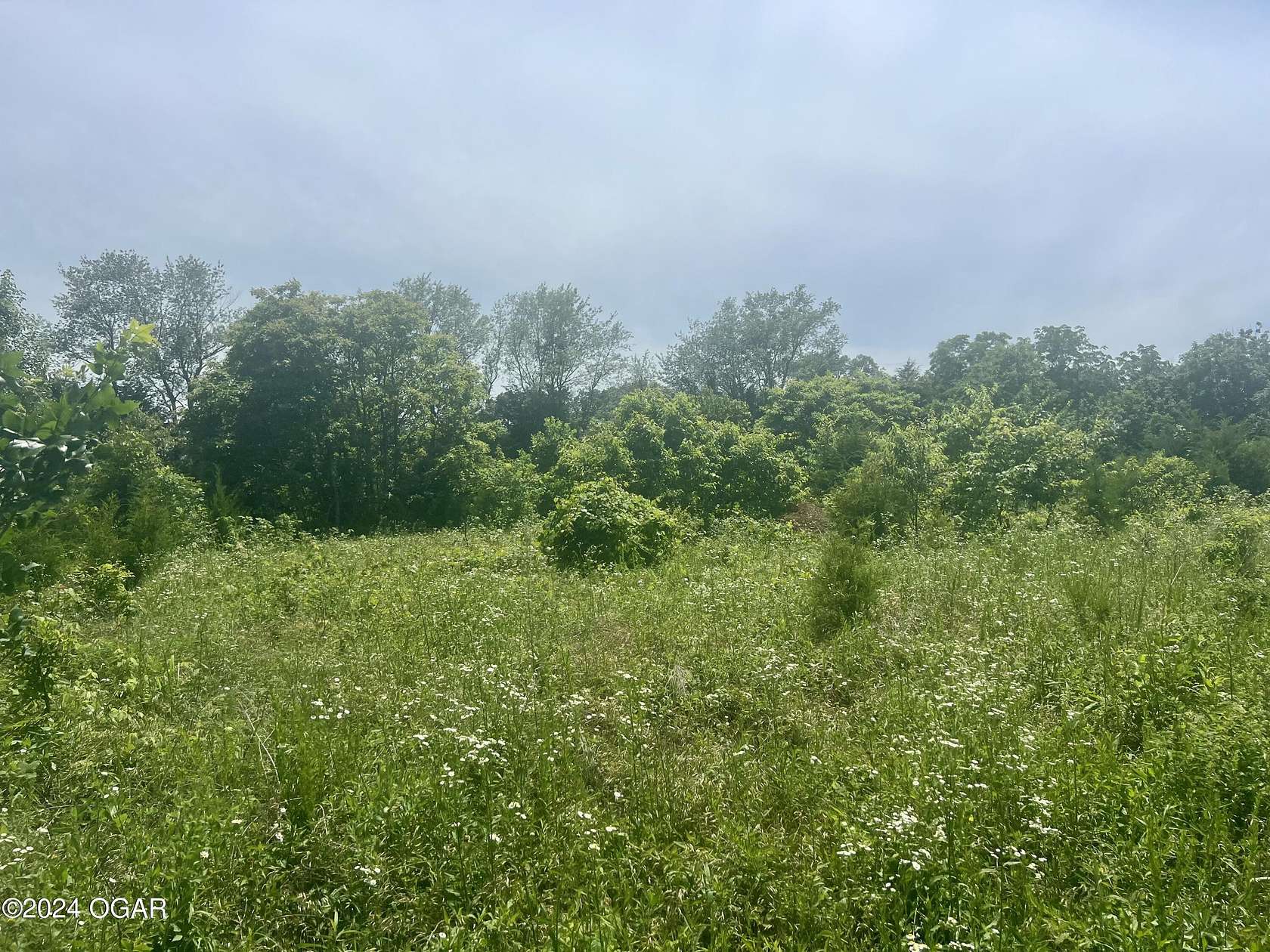 1 Acre of Residential Land for Sale in Cassville, Missouri