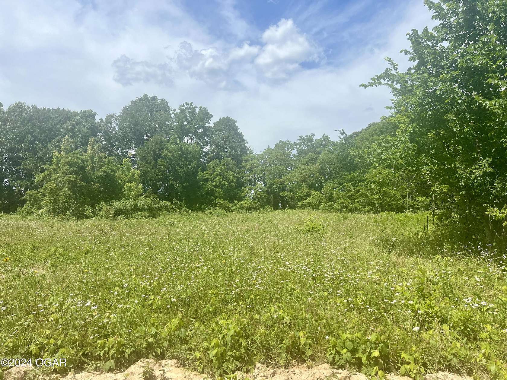 1 Acre of Residential Land for Sale in Cassville, Missouri