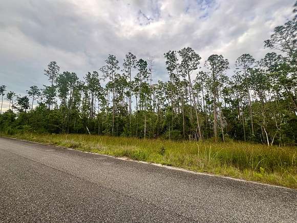 0.49 Acres of Residential Land for Sale in Wewahitchka, Florida