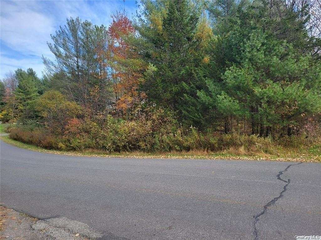 0.26 Acres of Residential Land for Sale in Coxsackie, New York