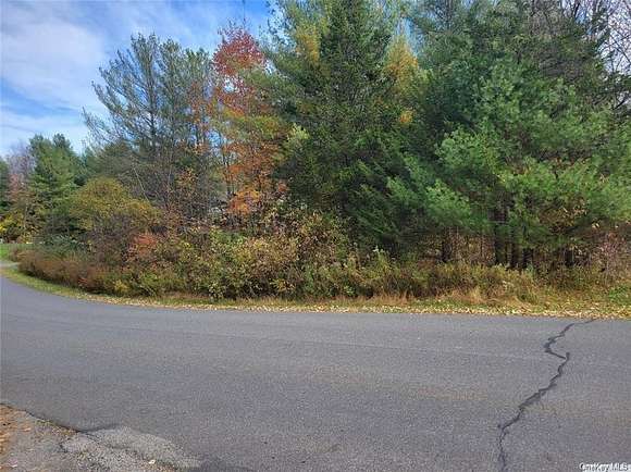 0.26 Acres of Residential Land for Sale in Coxsackie, New York