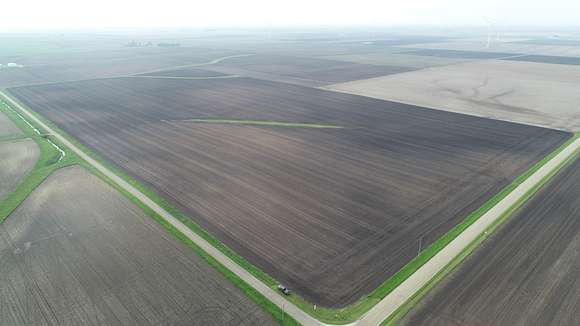 80 Acres of Agricultural Land for Sale in Bellflower, Illinois