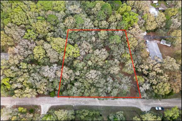 Residential Land for Sale in Trenton, Florida