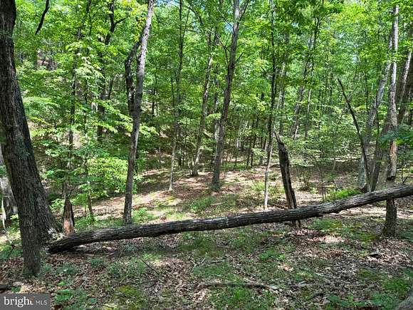 13.1 Acres of Recreational Land for Sale in Delray, West Virginia