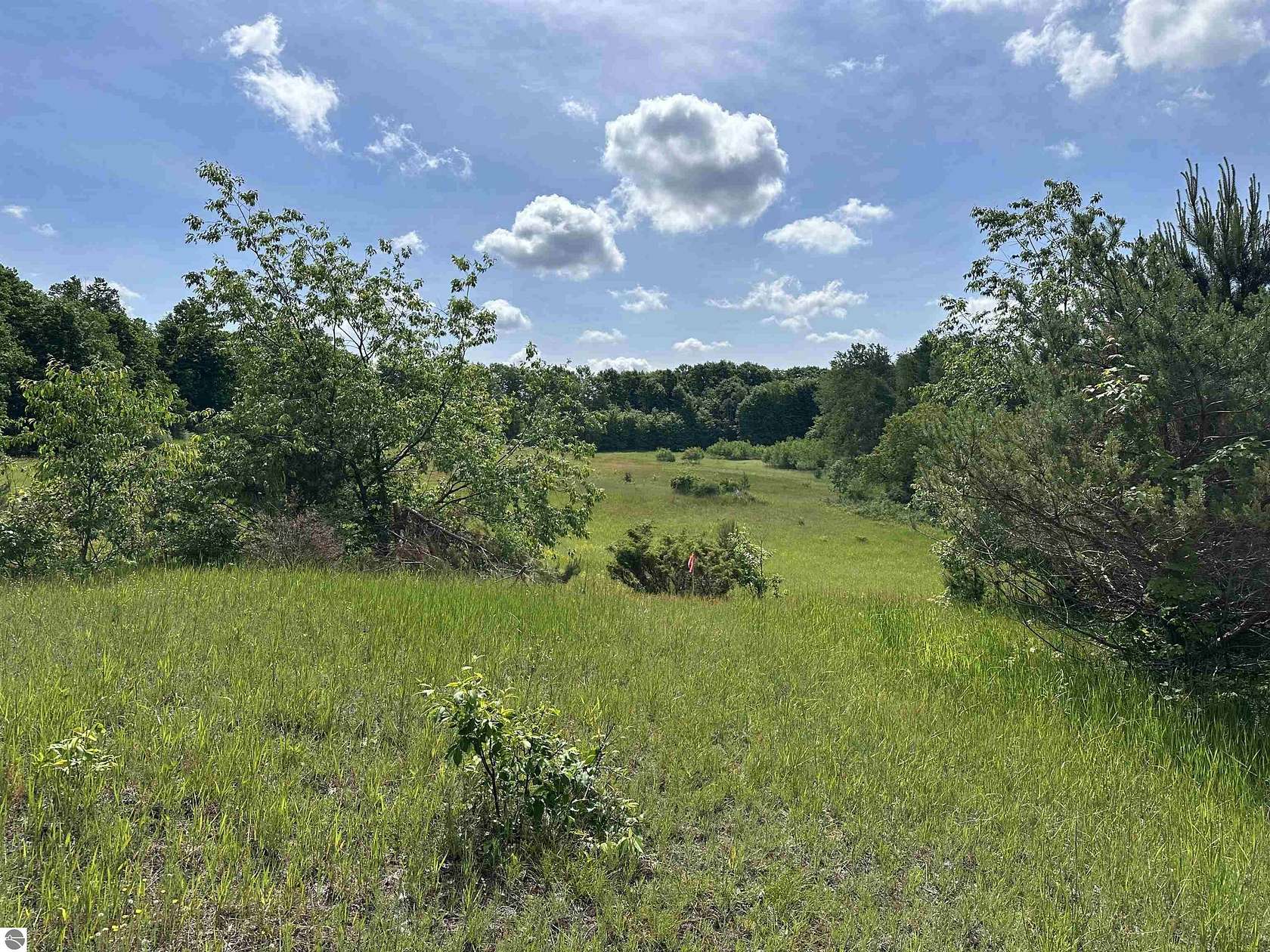 40 Acres of Land for Sale in Beulah, Michigan