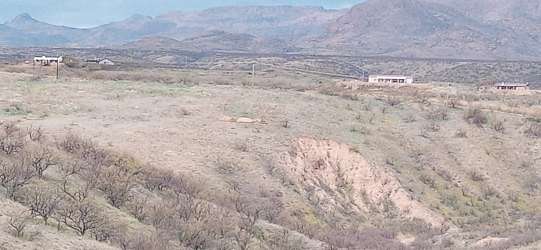 Residential Land for Sale in Rio Rico, Arizona