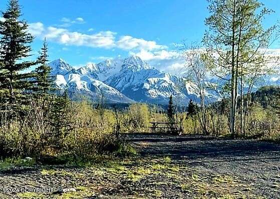 6 Acres of Improved Commercial Land for Sale in Chickaloon, Alaska