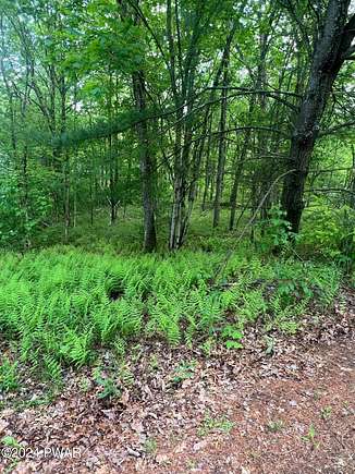 0.55 Acres of Residential Land for Sale in Lords Valley, Pennsylvania