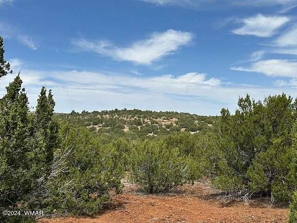 1.17 Acres of Residential Land for Sale in Concho, Arizona