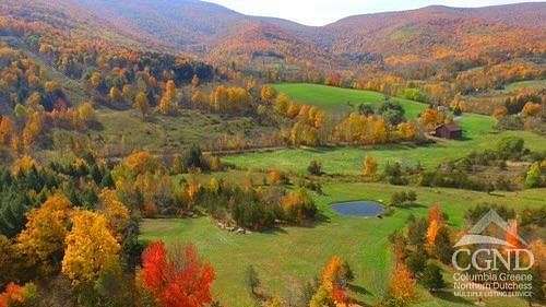 11.1 Acres of Recreational Land for Sale in Lexington, New York