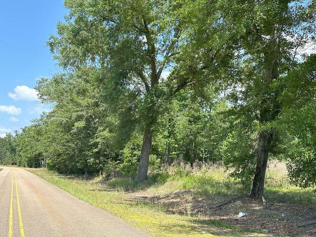 3.15 Acres of Residential Land for Sale in Gordon, Alabama