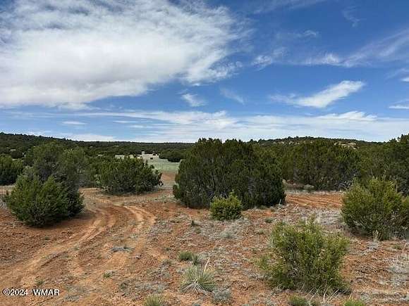 1.18 Acres of Residential Land for Sale in Concho, Arizona