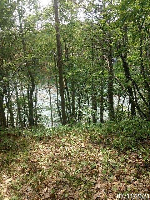 Land for Sale in Johannesburg, Michigan