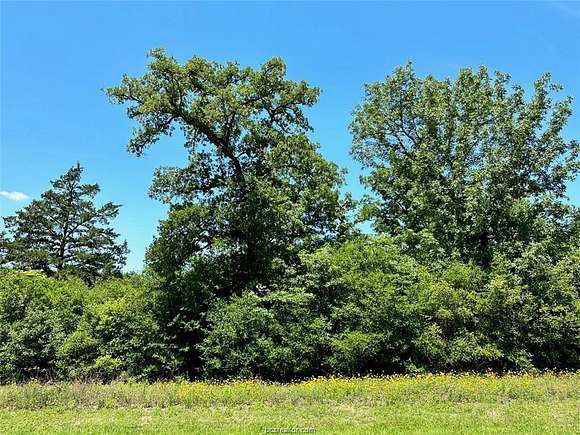 2 Acres of Residential Land for Sale in Iola, Texas