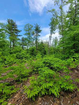 2.5 Acres of Residential Land for Sale in Denmark, Maine