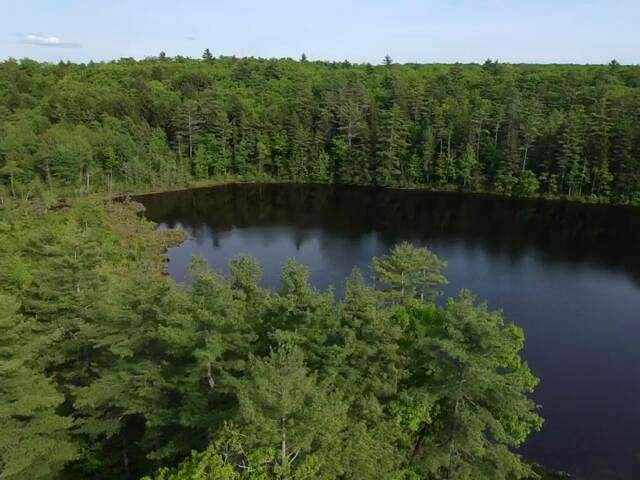 226 Acres of Recreational Land for Sale in Chelsea, Maine