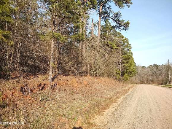 42.96 Acres of Land for Sale in Hillsboro, Georgia