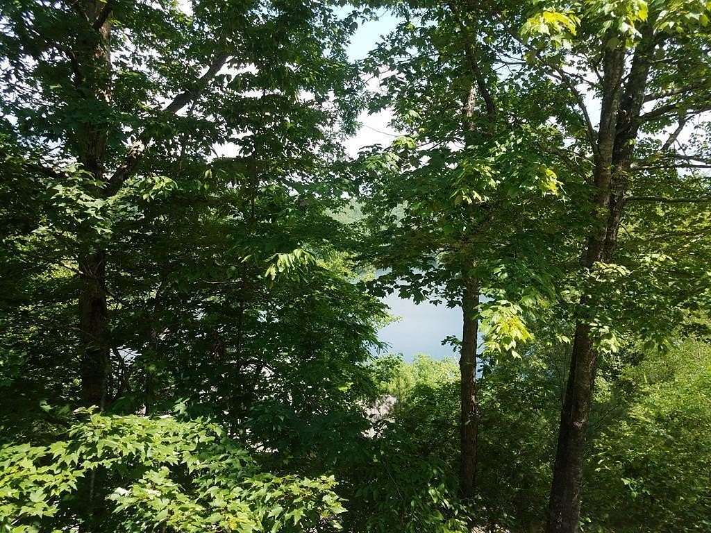 1.3 Acres of Residential Land for Sale in Murphy, North Carolina