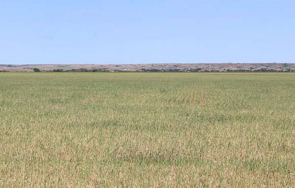 480 Acres of Agricultural Land for Auction in Lenora, Oklahoma