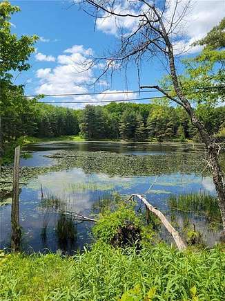 5 Acres of Land for Sale in Pittsfield, New York