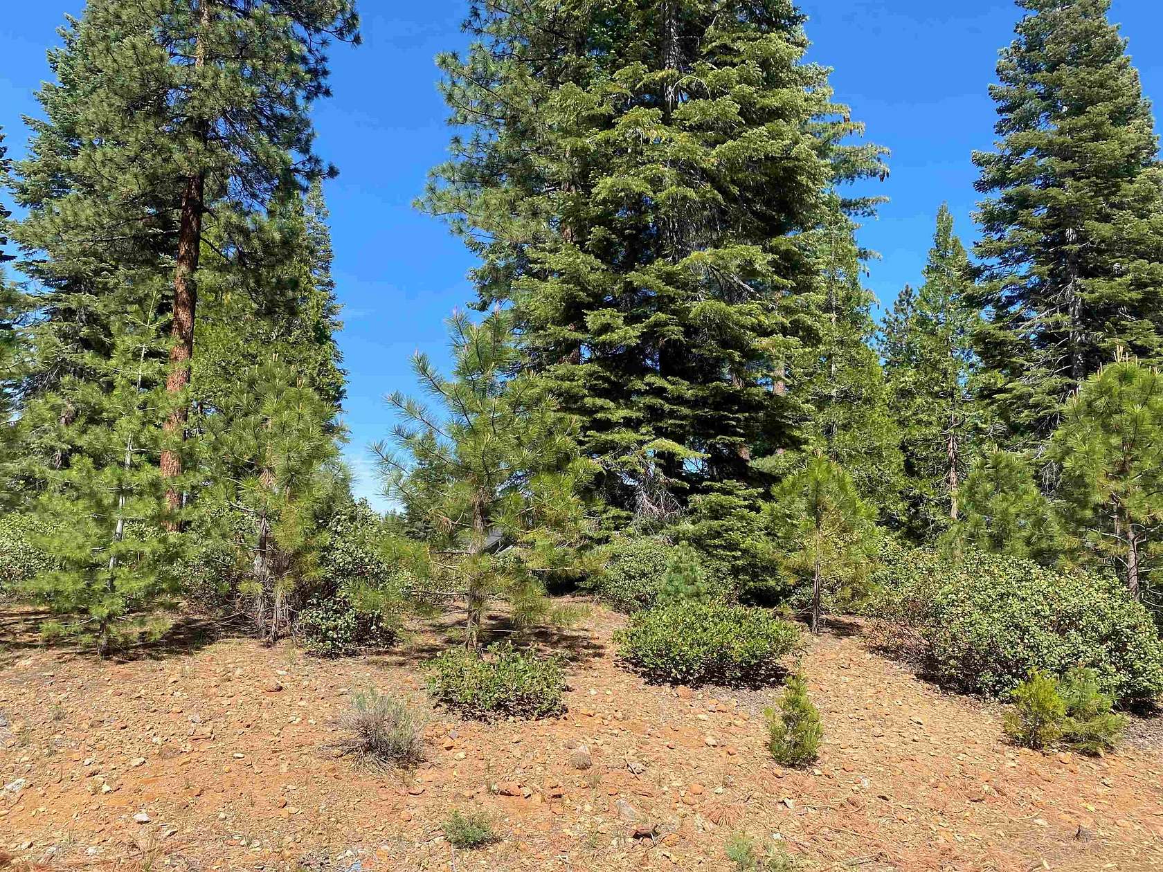 0.33 Acres of Residential Land for Sale in Lake Almanor Peninsula, California