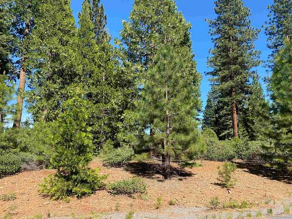 0.33 Acres of Residential Land for Sale in Lake Almanor Peninsula, California