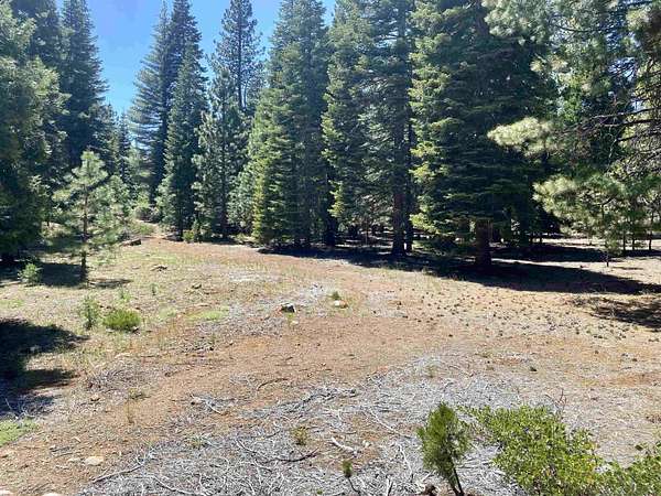 0.52 Acres of Residential Land for Sale in Lake Almanor Peninsula, California